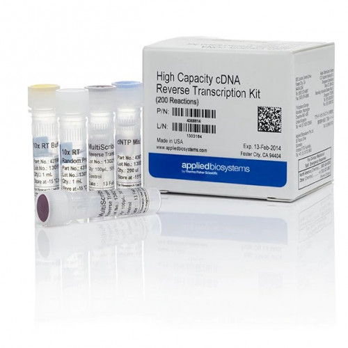 Applied Biosystems™ High-Capacity cDNA Reverse Transcription Kit, 200 Reactions